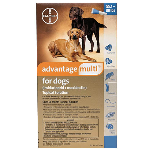 Advantage Multi (Advocate)